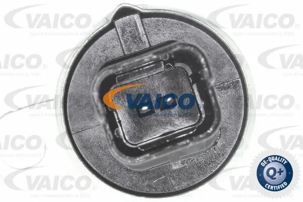 Control Valve, camshaft adjustment