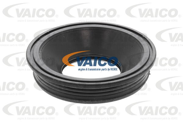 Seal, injector holder