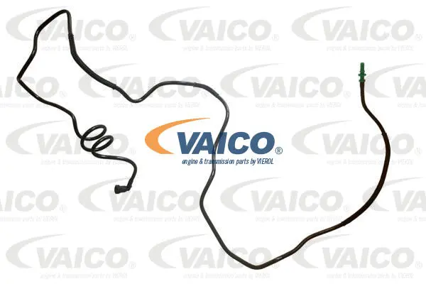 Fuel Line