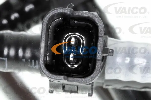 Fuel Line