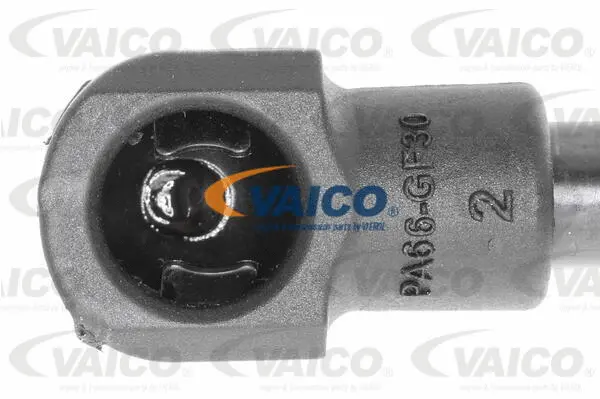 Gas Spring, boot/cargo area