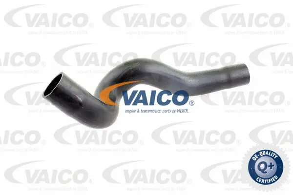 Charge Air Hose
