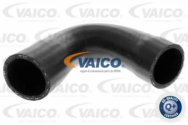 Charge Air Hose