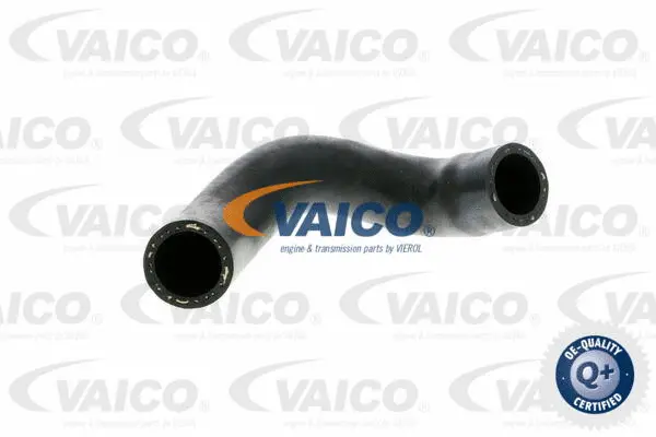 Charge Air Hose
