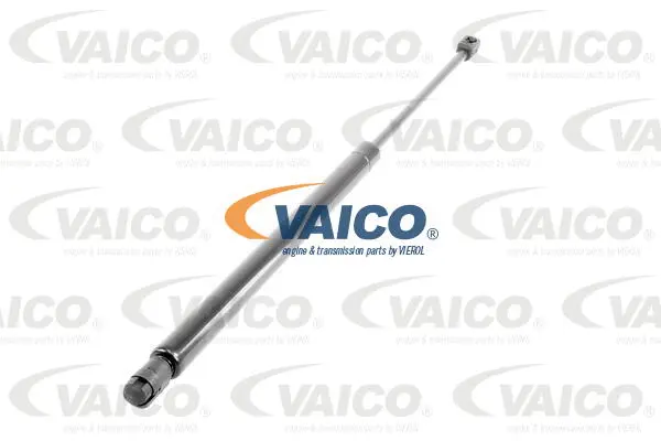 Gas Spring, boot/cargo area