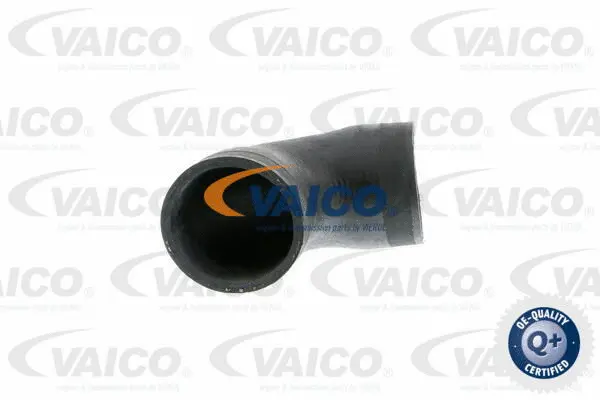 Charge Air Hose
