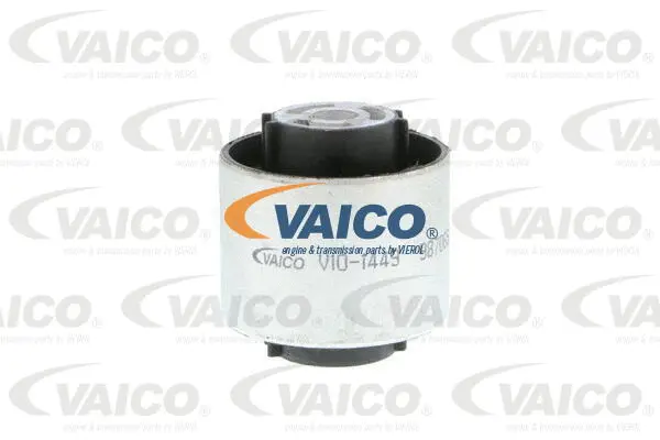 Mounting, control/trailing arm