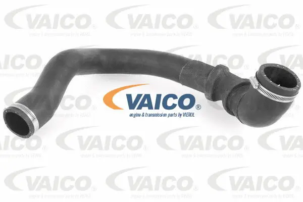 Charge Air Hose