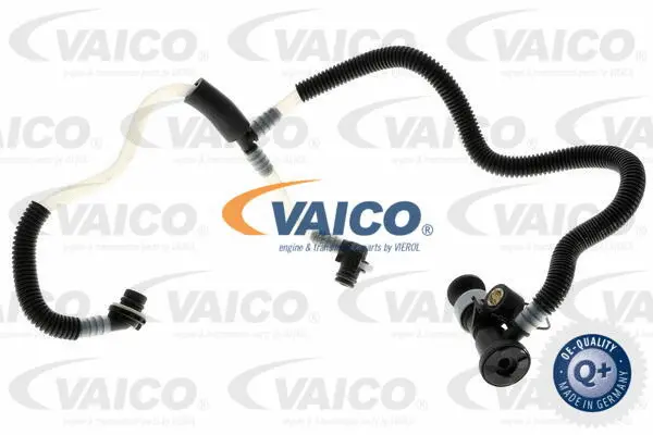 Fuel Line