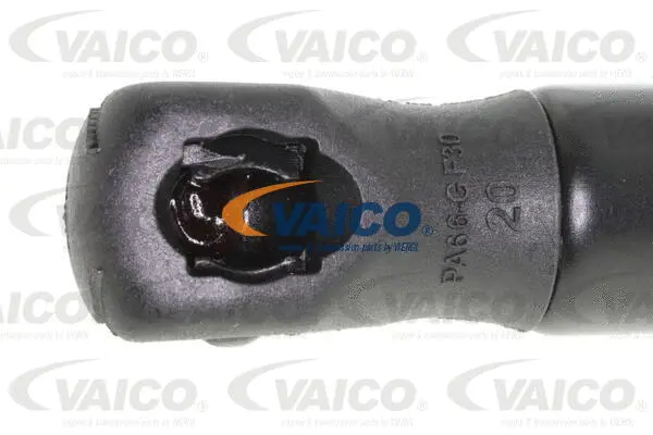 Gas Spring, boot/cargo area