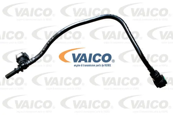 Fuel Line