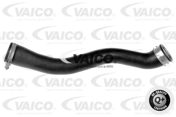 Charge Air Hose