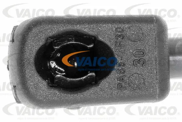 Gas Spring, boot/cargo area