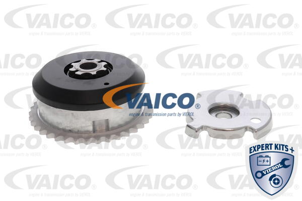 Timing Chain Kit