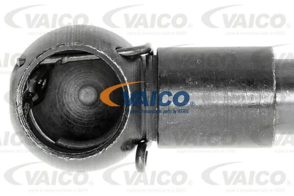 Gas Spring, boot/cargo area