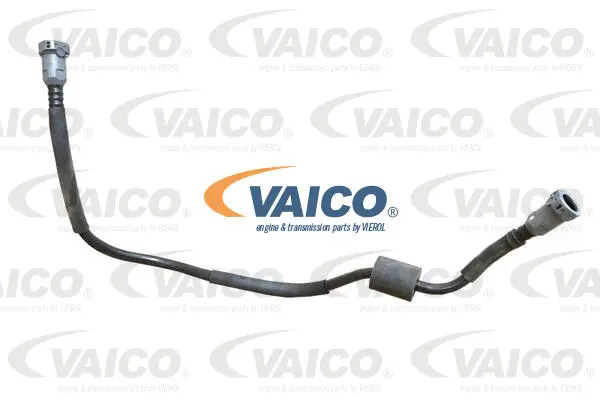Fuel Line