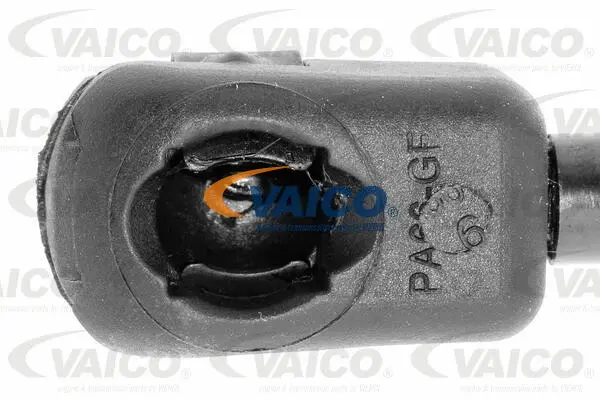 Gas Spring, boot/cargo area