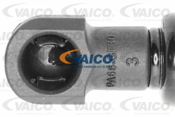 Gas Spring, boot/cargo area