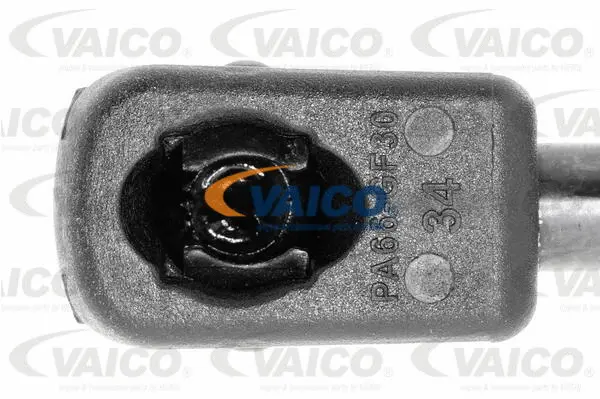 Gas Spring, boot/cargo area