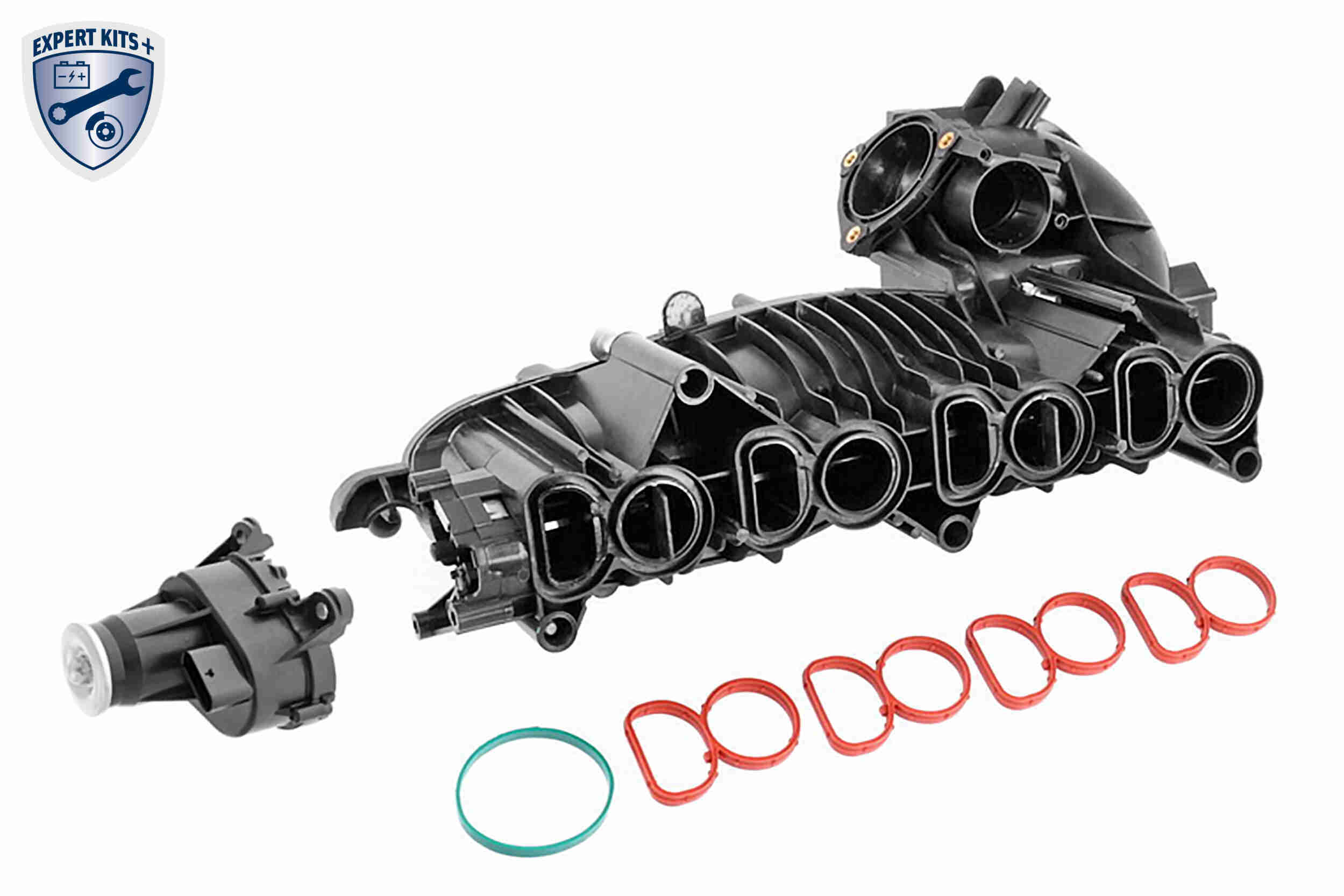 Intake Manifold Module
