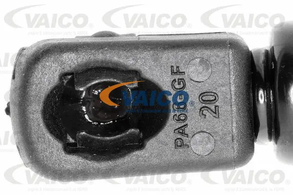 Gas Spring, boot/cargo area