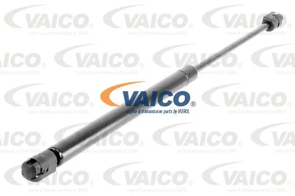 Gas Spring, boot/cargo area