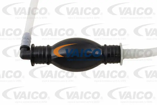 Fuel Line
