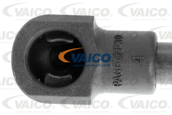Gas Spring, boot/cargo area