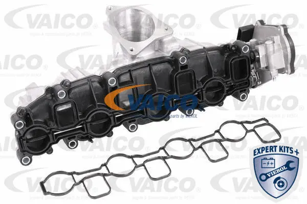 Intake Manifold Module