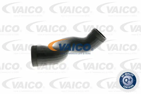 Charge Air Hose