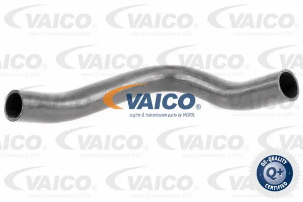 Charge Air Hose