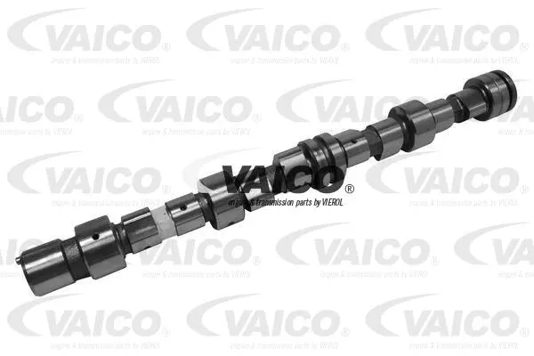 Camshaft