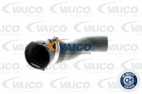 Charge Air Hose