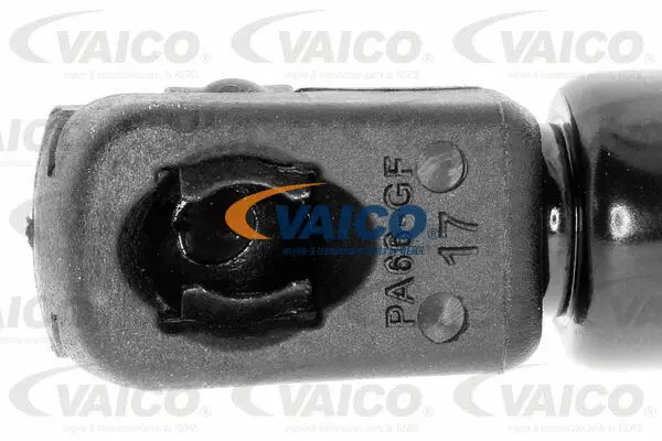 Gas Spring, boot/cargo area