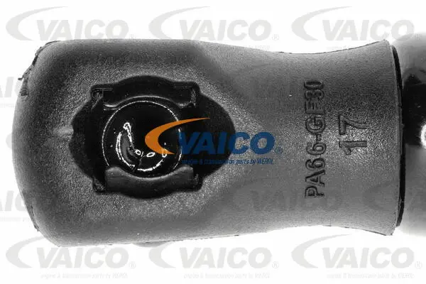 Gas Spring, boot/cargo area