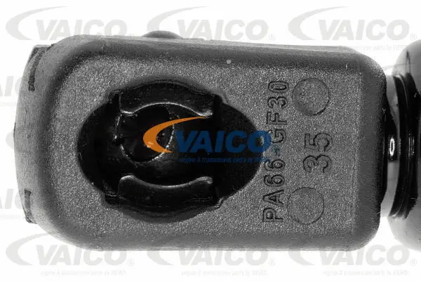 Gas Spring, boot/cargo area