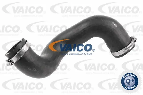 Charge Air Hose