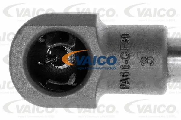 Gas Spring, boot/cargo area