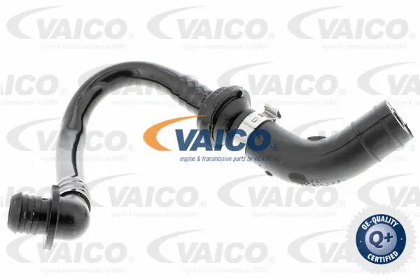 Vacuum Hose, braking system