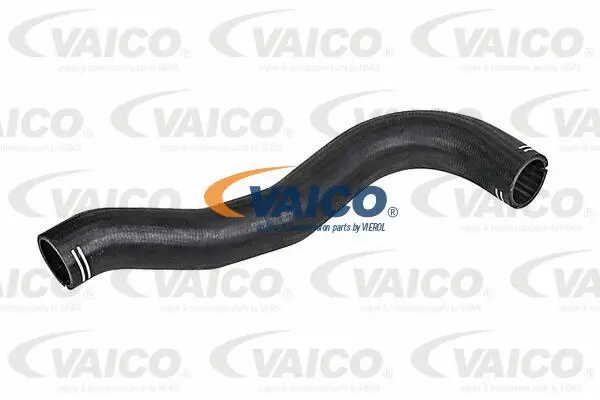 Charge Air Hose