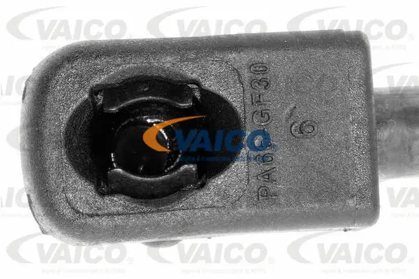 Gas Spring, bonnet