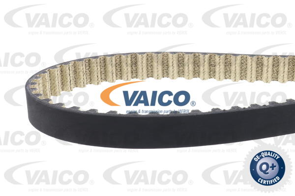 Timing Belt