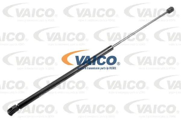 Gas Spring, boot/cargo area