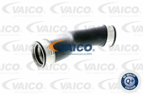 Charge Air Hose