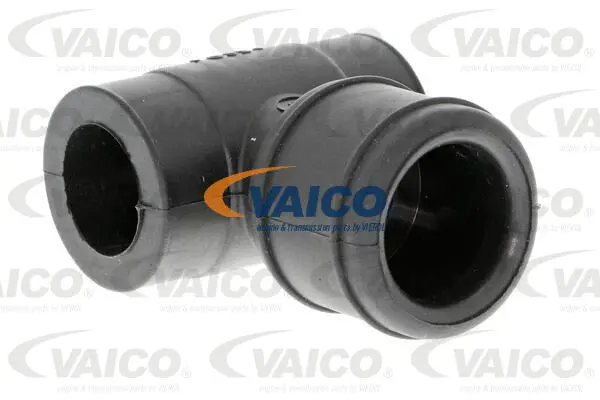 Hose, crankcase ventilation