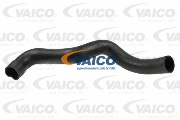 Charge Air Hose