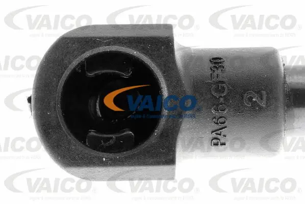 Gas Spring, boot/cargo area