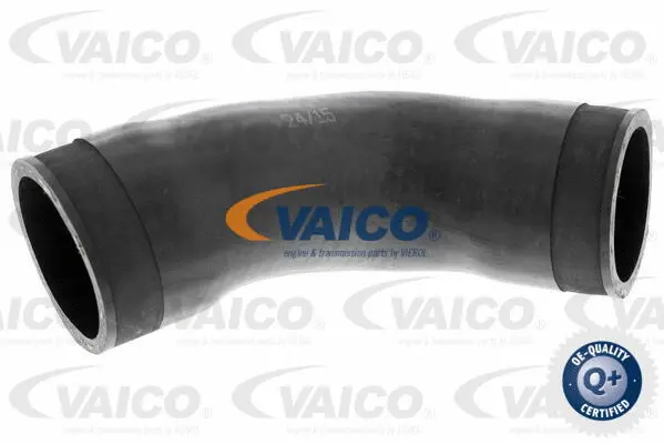 Charge Air Hose