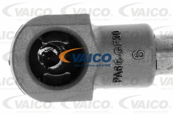 Gas Spring, boot/cargo area