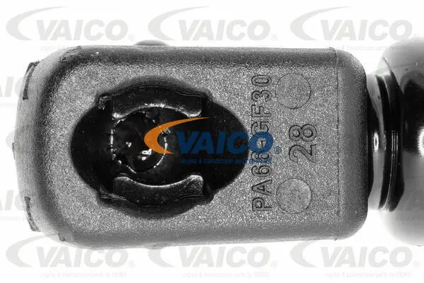 Gas Spring, boot/cargo area